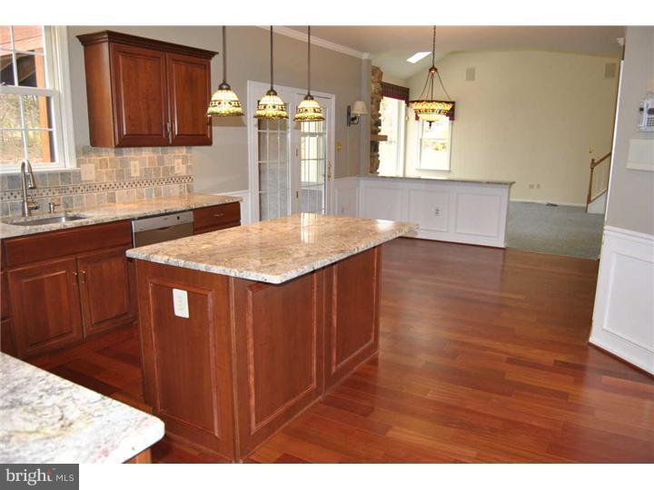 925 Ridgeview Lane Lower Gwynedd, PA 19002 - Photo 5 of 15 Kitchen