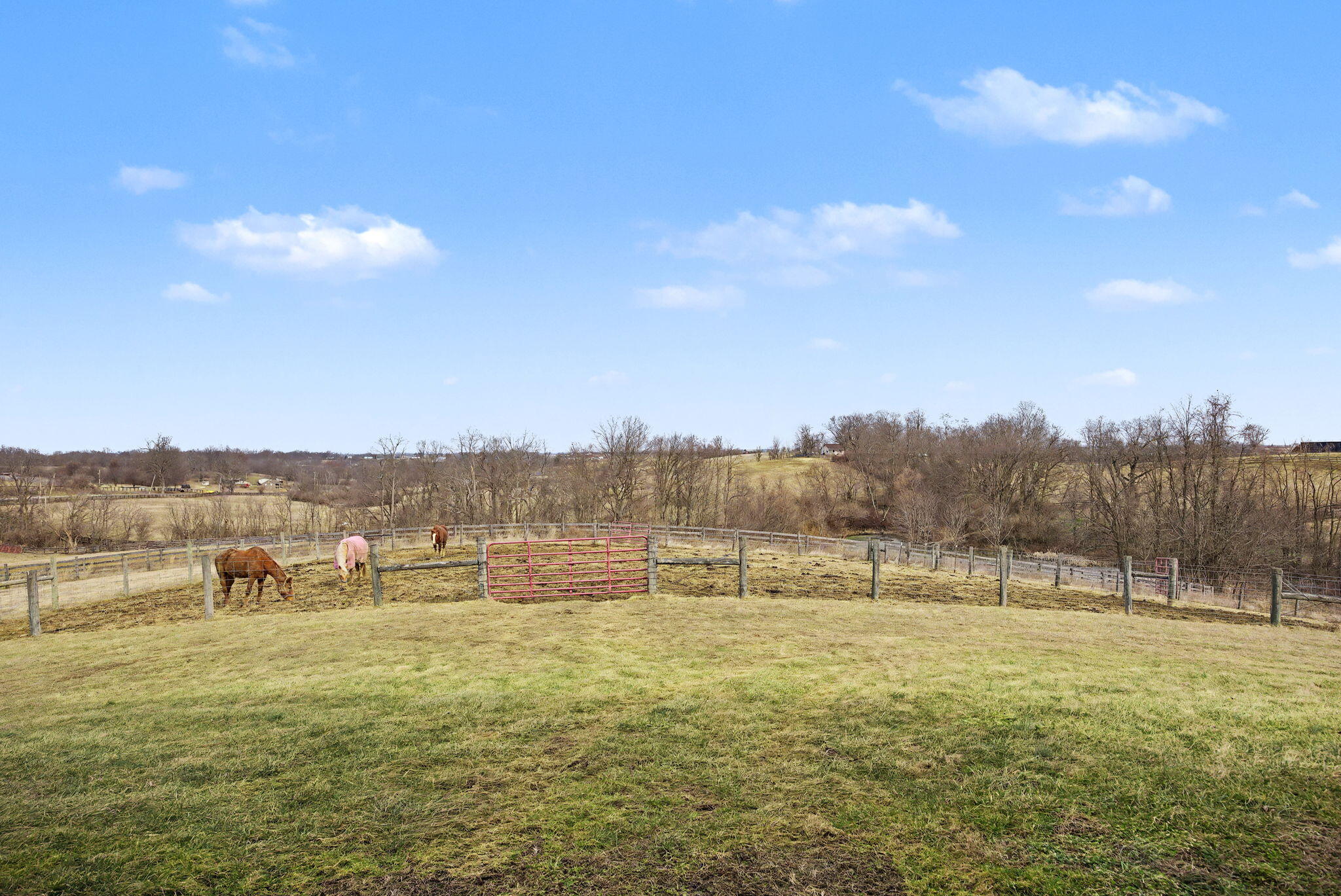 761 College Road Paris, KY 40361 - Photo 49 of 50 44-web-or-mls-30_College