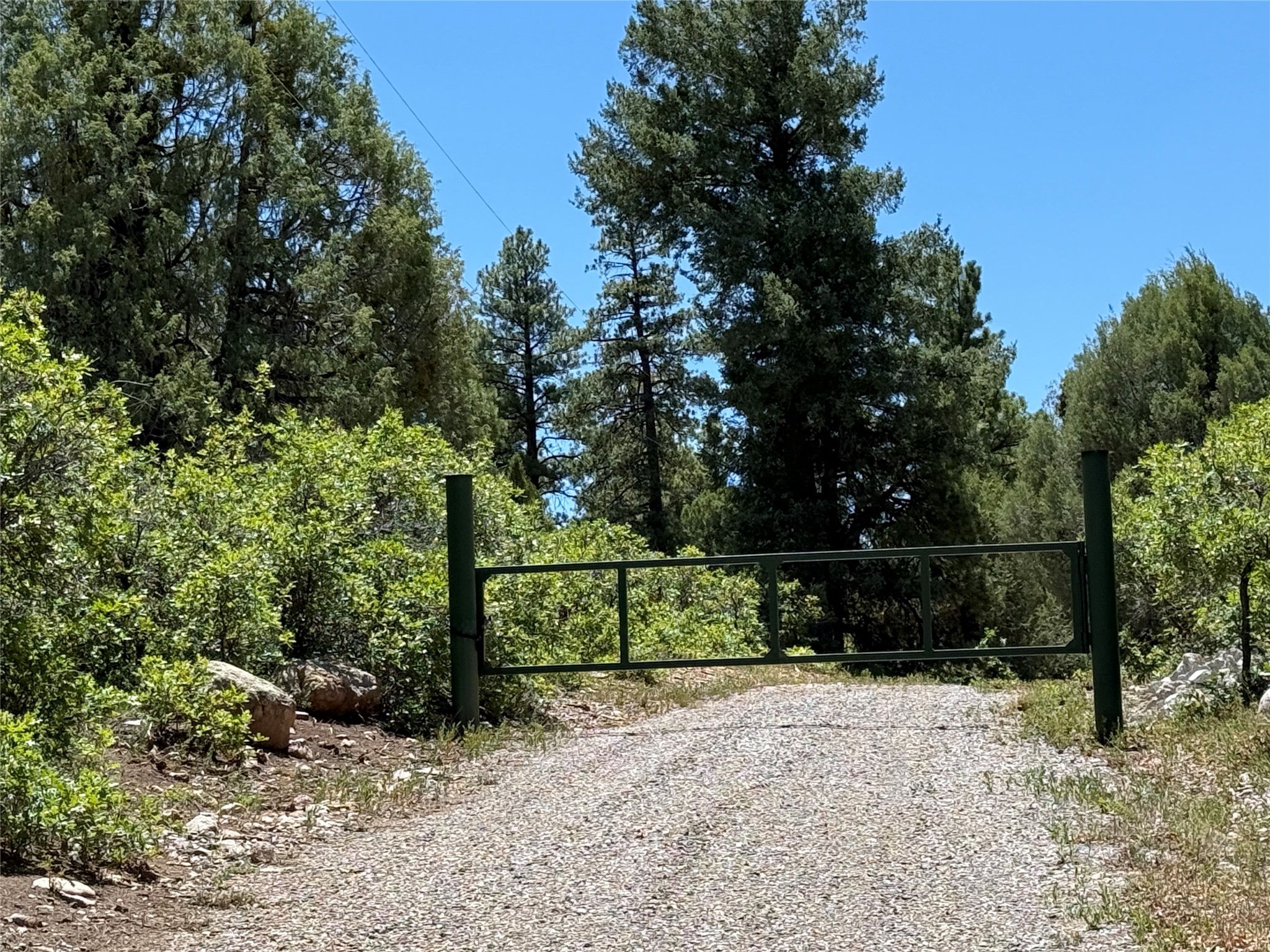 381 Buckman Road Chama, NM 87520 - Photo 12 of 23