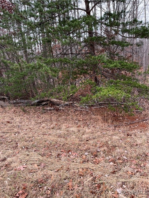0 Aspen Grove Road Farmville, VA 23901 - Photo 2 of 5 a view of a dry yard with trees