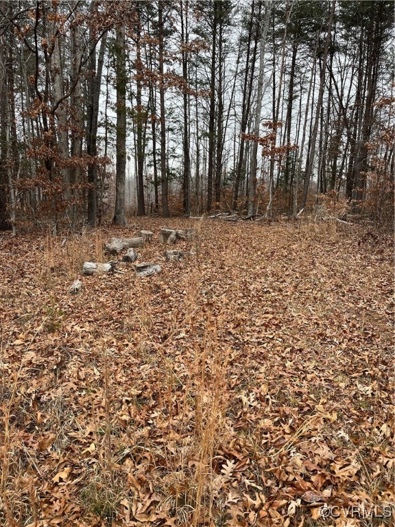 0 Aspen Grove Road Farmville, VA 23901 - Photo 4 of 5 a view of outdoor space with trees