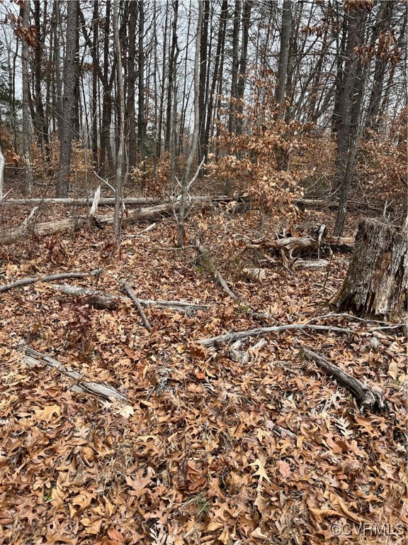 0 Aspen Grove Road Farmville, VA 23901 - Photo 5 of 5 a view of a forest with a tree
