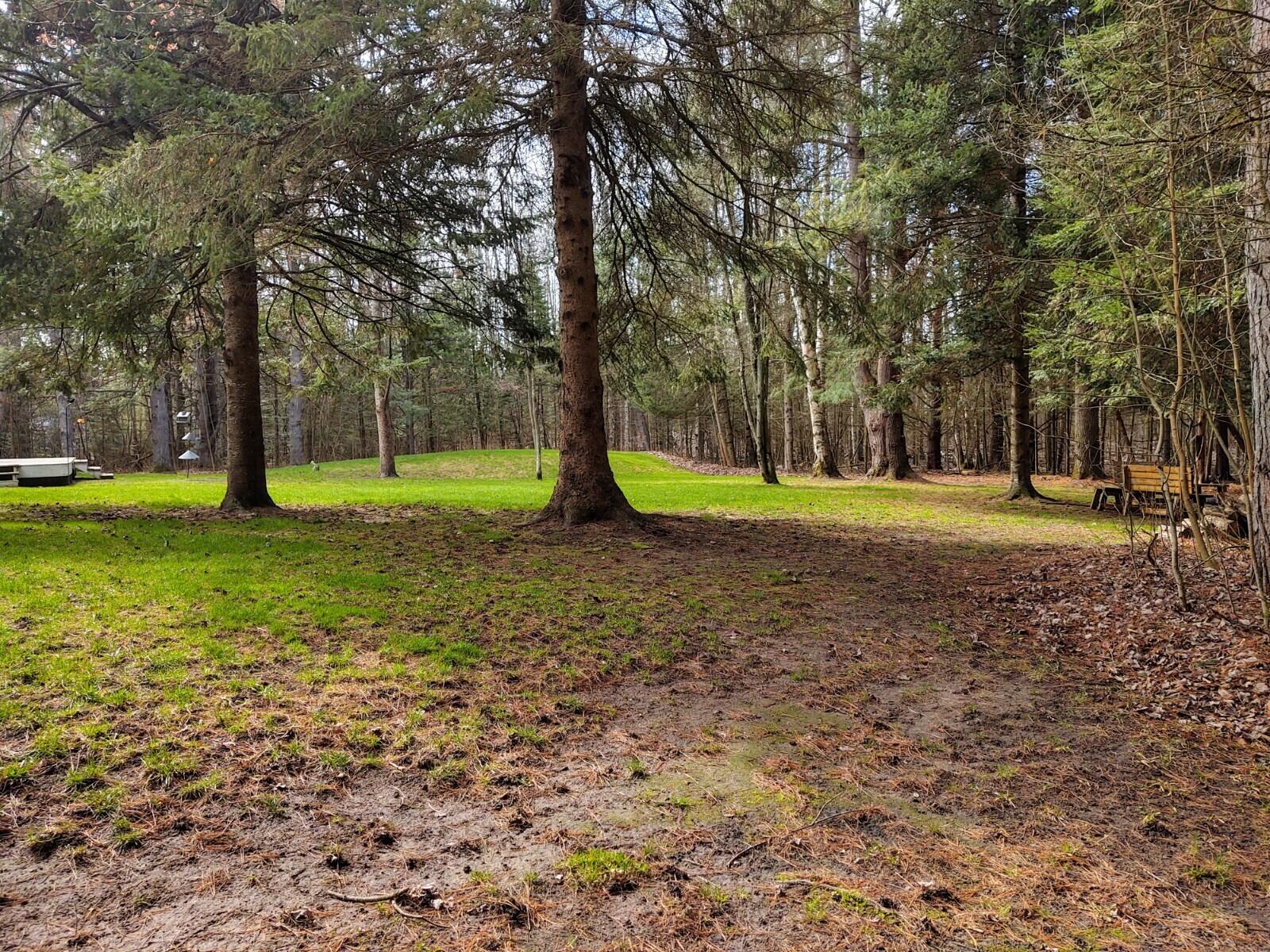 8275 Carter Road Cheboygan, MI 49721 - Photo 68 of 97 Gallery Image 68