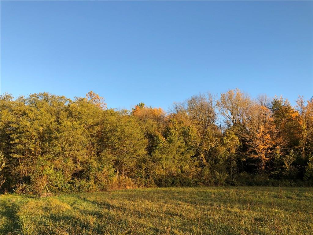 0 West County Line Road Knightstown, IN 46148 - Photo 1 of 4 Gallery Image 1