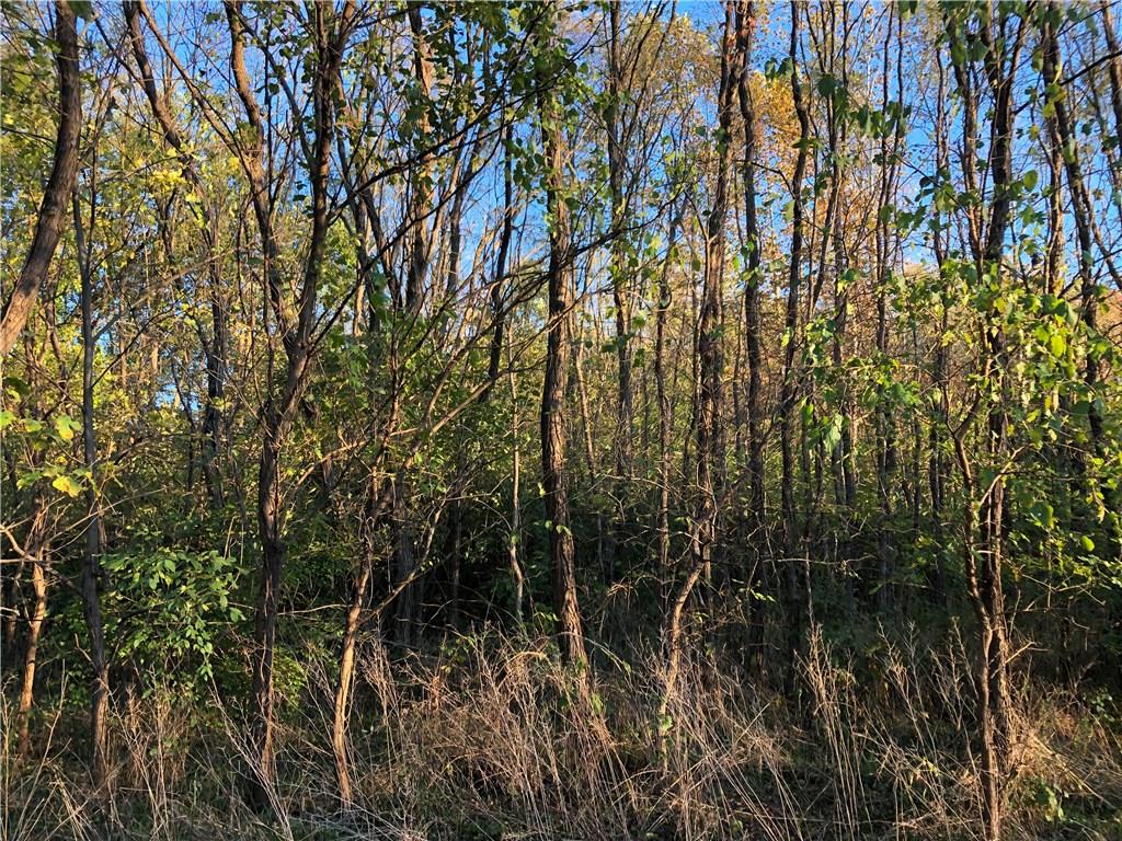 0 West County Line Road Knightstown, IN 46148 - Photo 4 of 4 Gallery Image 4