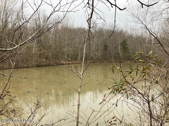 3567 Nelsonville Road Boston, KY 40107 - Photo 2 of 4 NELSONVILLE POND 1