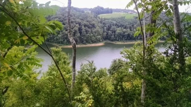 a view of a lake with a house in the background