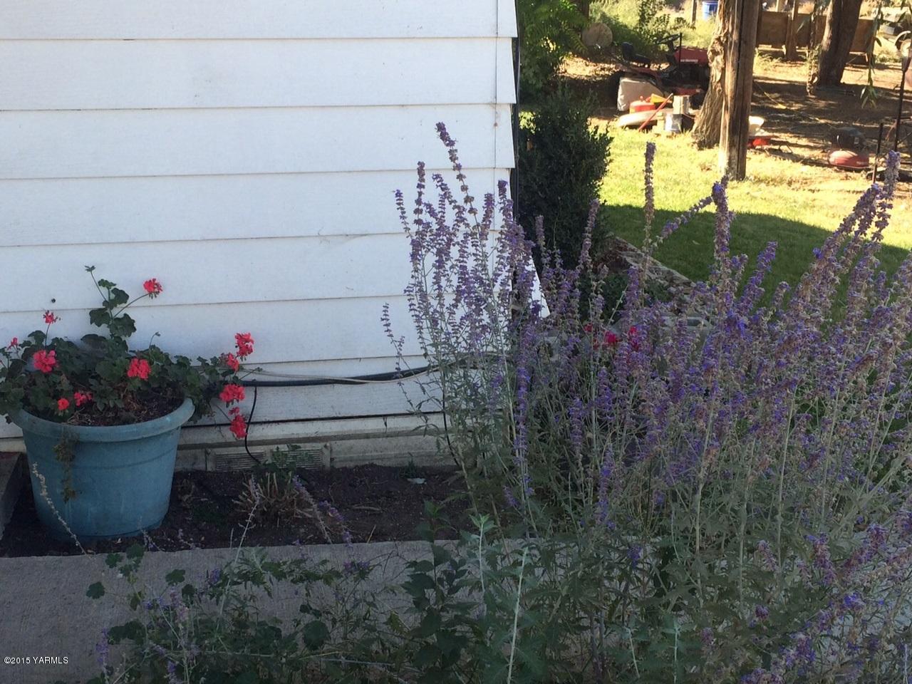 2440 Midvale Road Mabton, WA 98935 - Photo 5 of 15 a view of a potted plant in front of a house