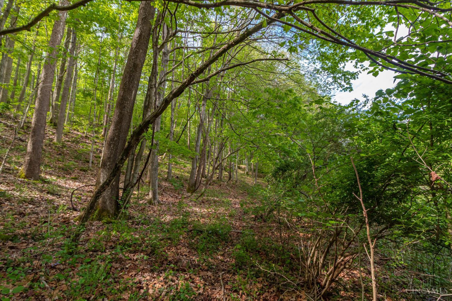 2432 Johnson Run Road Stout, OH 45684 - Photo 28 of 57 Gallery Image 28