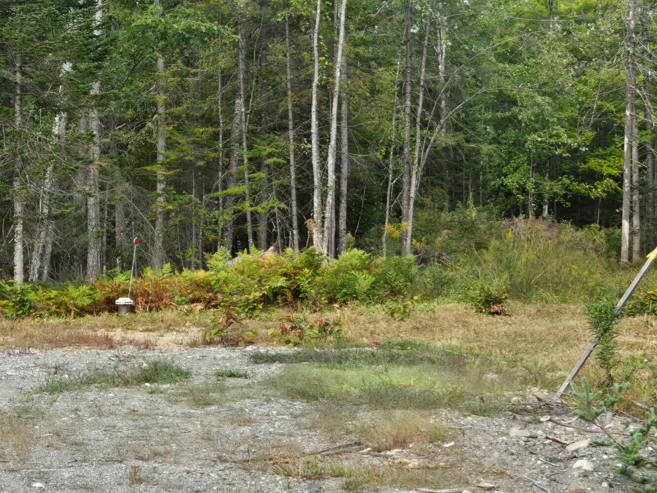 38 Walker Road Madison, ME 04950 - Photo 17 of 27 9094184454704313059_result