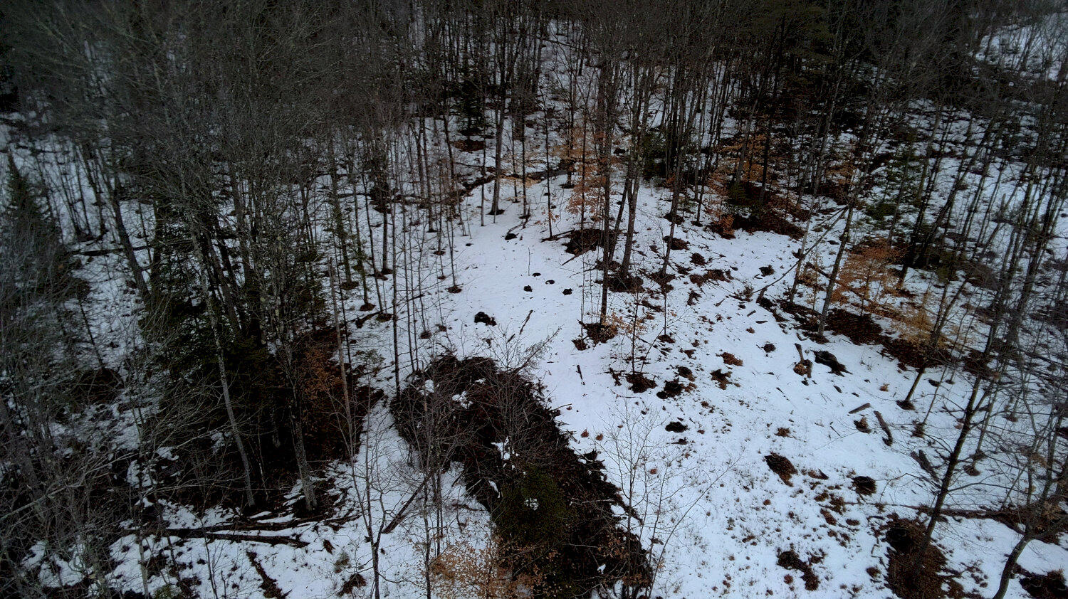 38 Walker Road Madison, ME 04950 - Photo 5 of 27 IMG_5555_result