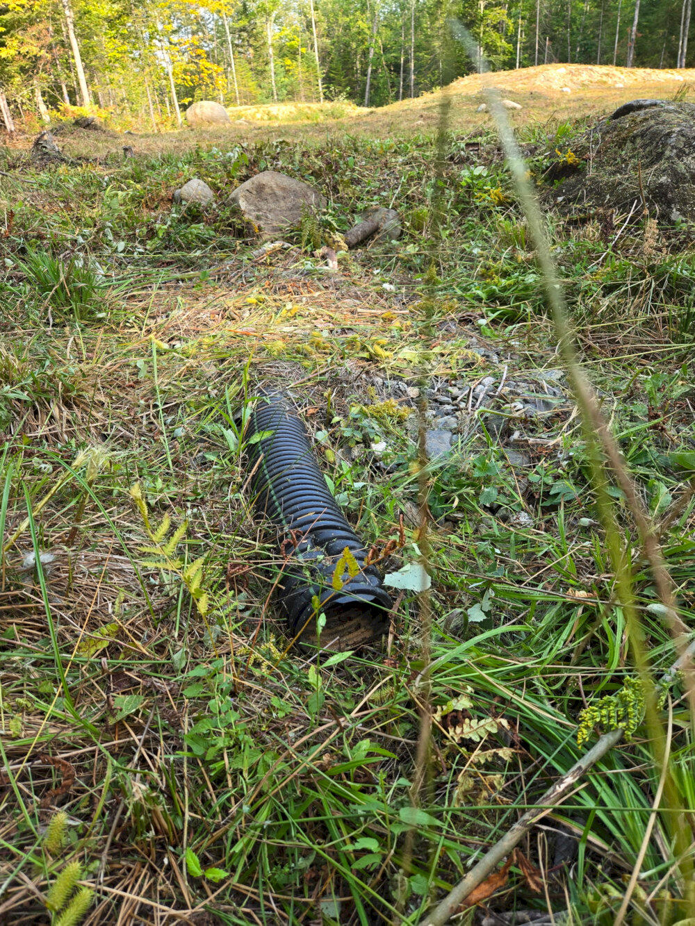 38 Walker Road Madison, ME 04950 - Photo 9 of 27 958327510393447738_result