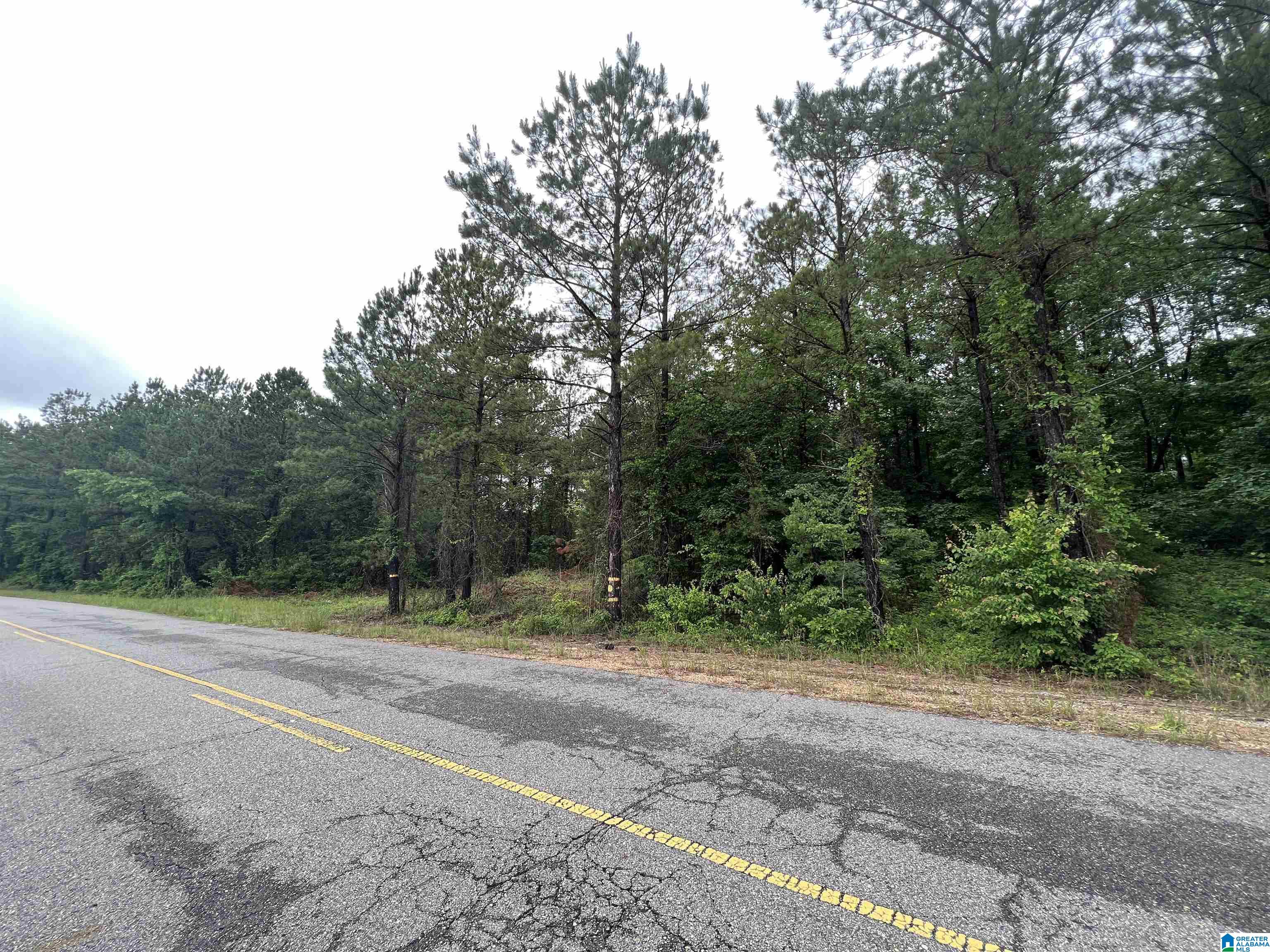 0 Bama Rock Garden Road Cottondale, AL 35453 - Photo 3 of 11