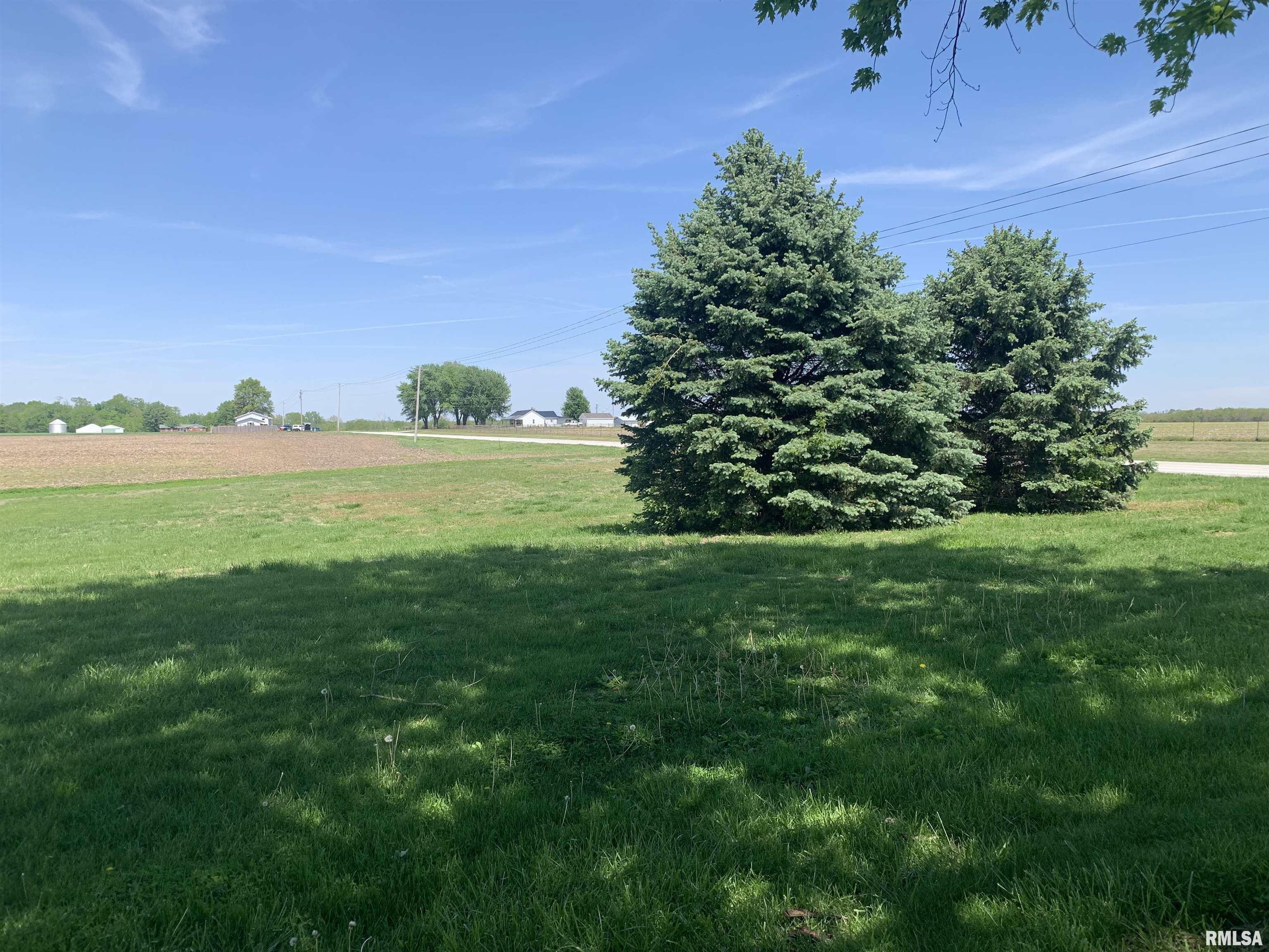 2911 Highway 96 Sutter, IL 62373 - Photo 8 of 24