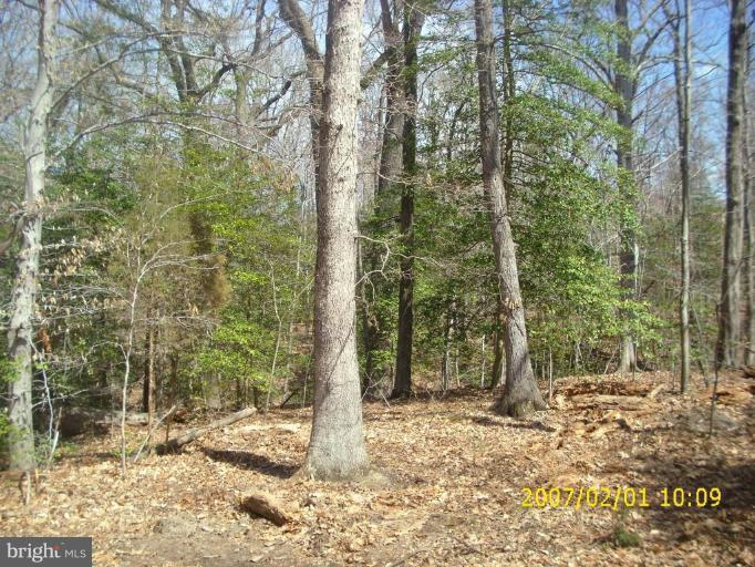 15101 Auburn Road East Accokeek, MD 20607 - Photo 11 of 30 Back yard