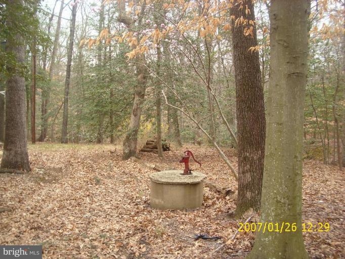 Wooded View / Acreage