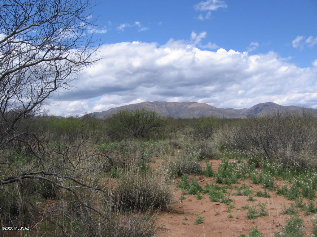 West Double Adobe Road McNeal, AZ 85617 - Photo 4 of 5