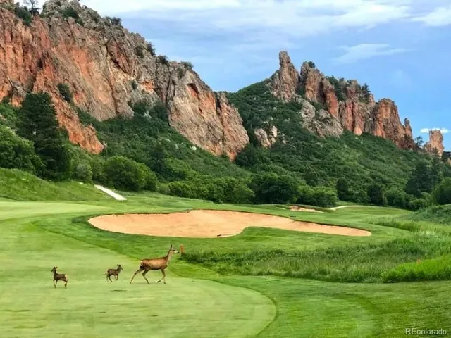 $70,000 | 8093 Acoma Drive, Larkspur, CO 80118