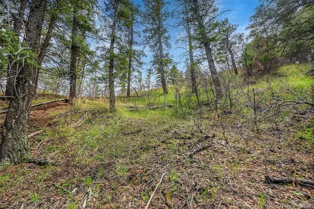 $70,000 | 8093 Acoma Drive, Larkspur, CO 80118