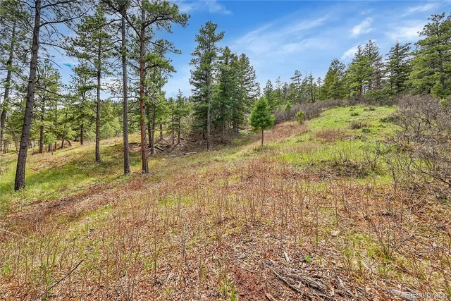 $70,000 | 8093 Acoma Drive, Larkspur, CO 80118