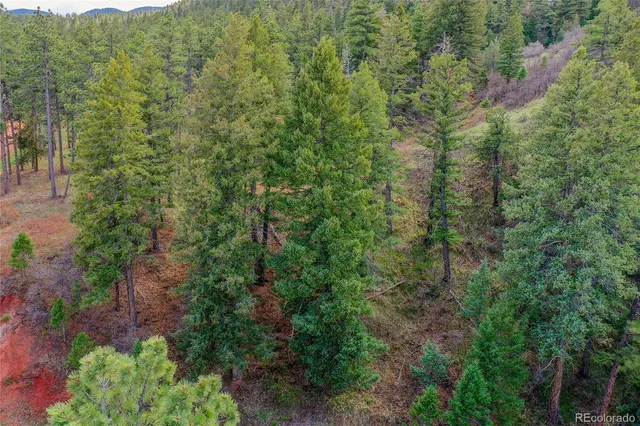 $70,000 | 8093 Acoma Drive, Larkspur, CO 80118