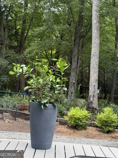 531 Hidden Valley Road Cleveland, GA 30528 - Photo 27 of 74