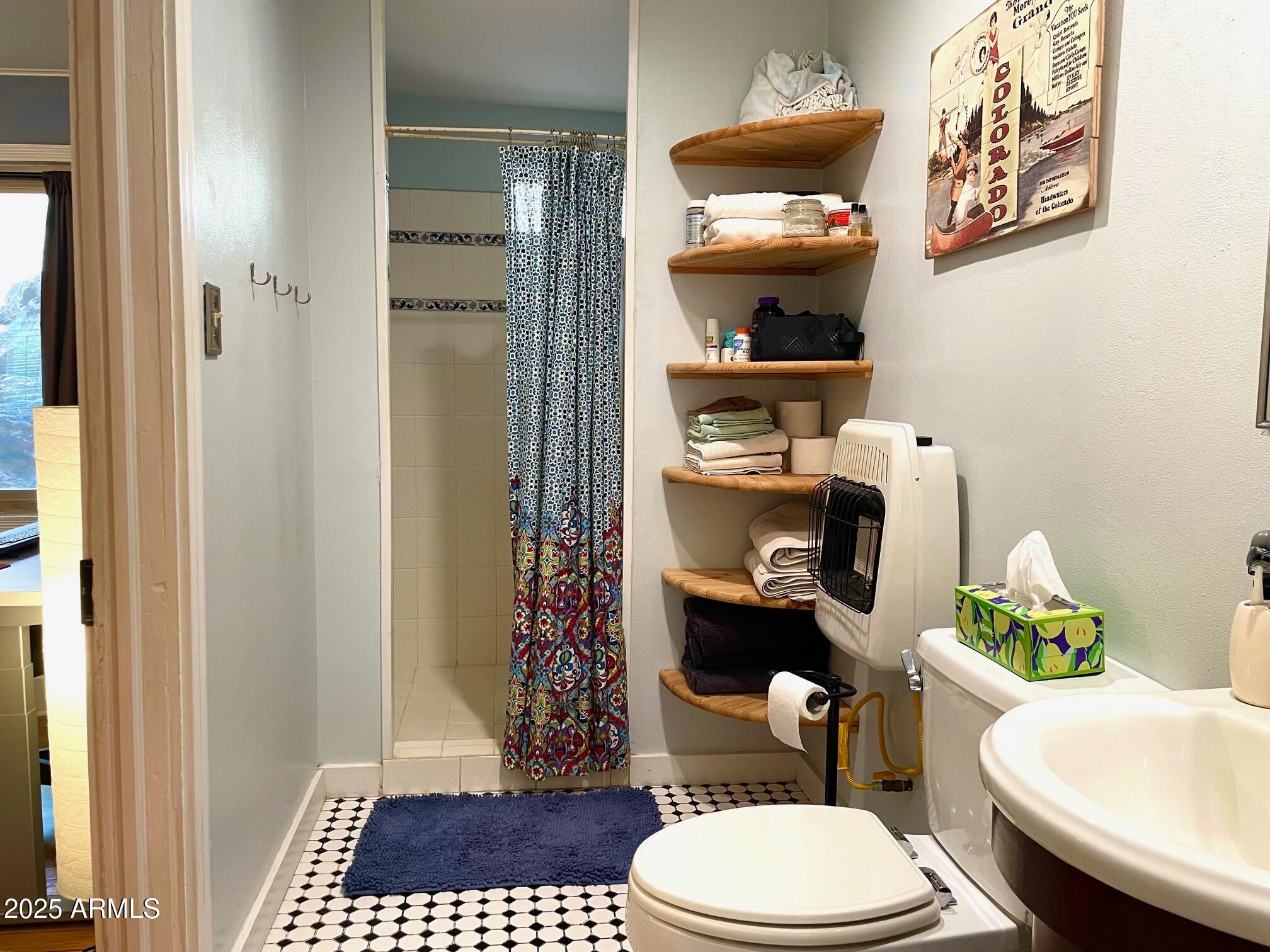 10 Locklin Avenue Bisbee, AZ 85603 - Photo 32 of 35 a bathroom with a toilet and a shower curtain