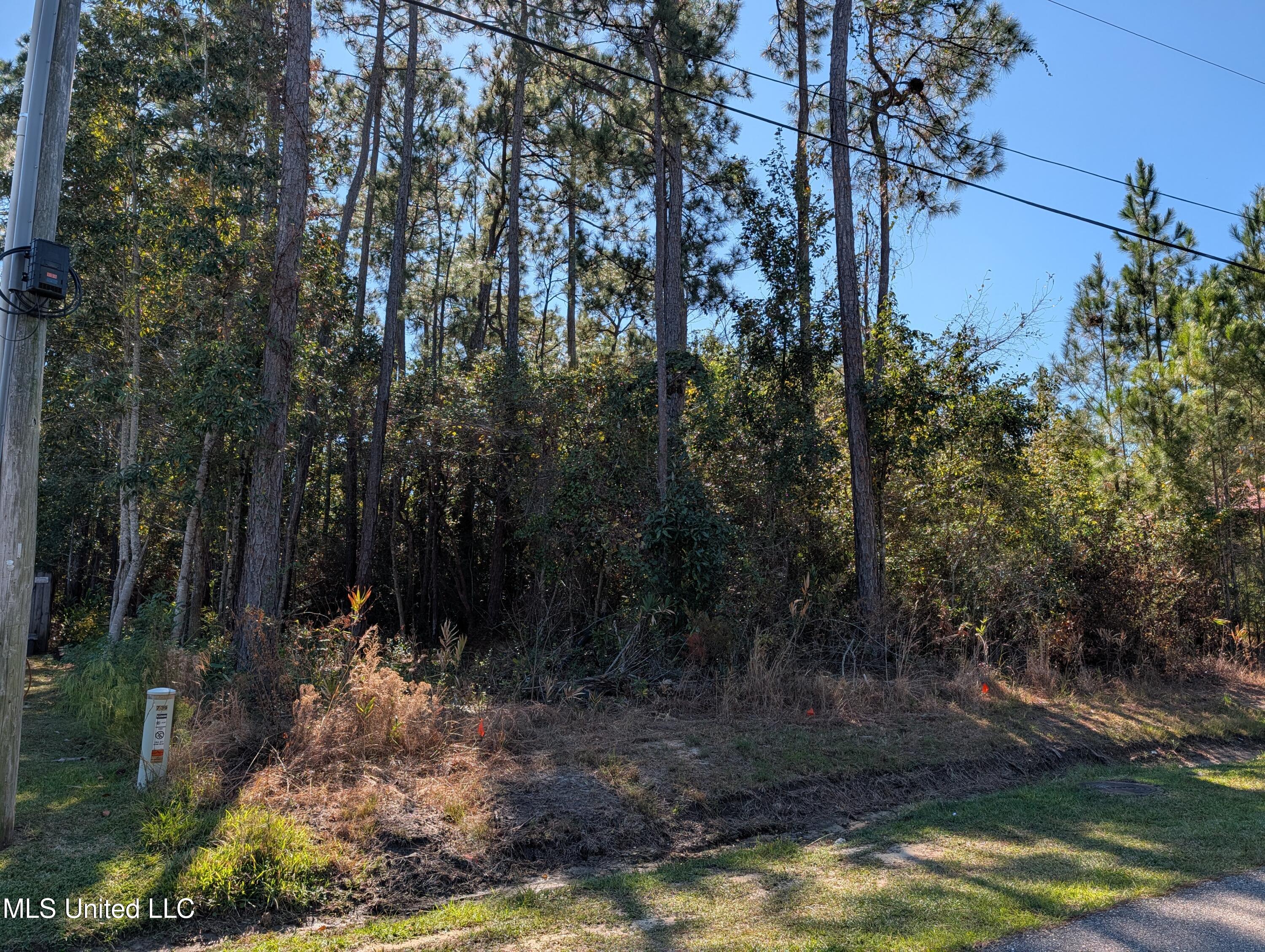 7311 Ieke Circle Diamondhead, MS 39525 - Photo 11 of 12 PXL_20251031_190717175