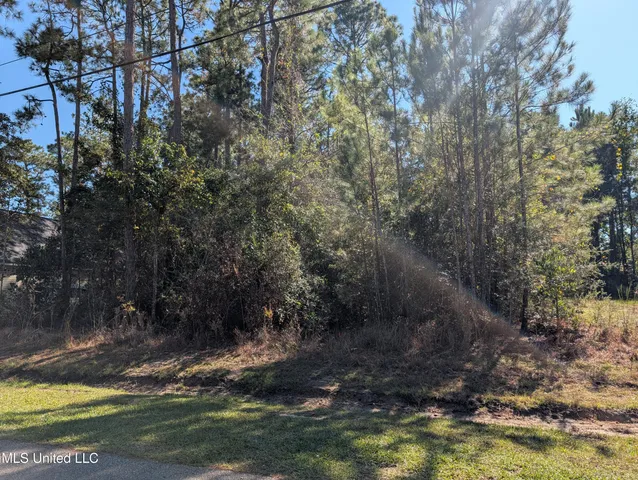 $12,000 | 7311 Ieke Circle, Diamondhead, MS 39525