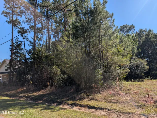 $12,000 | 7311 Ieke Circle, Diamondhead, MS 39525