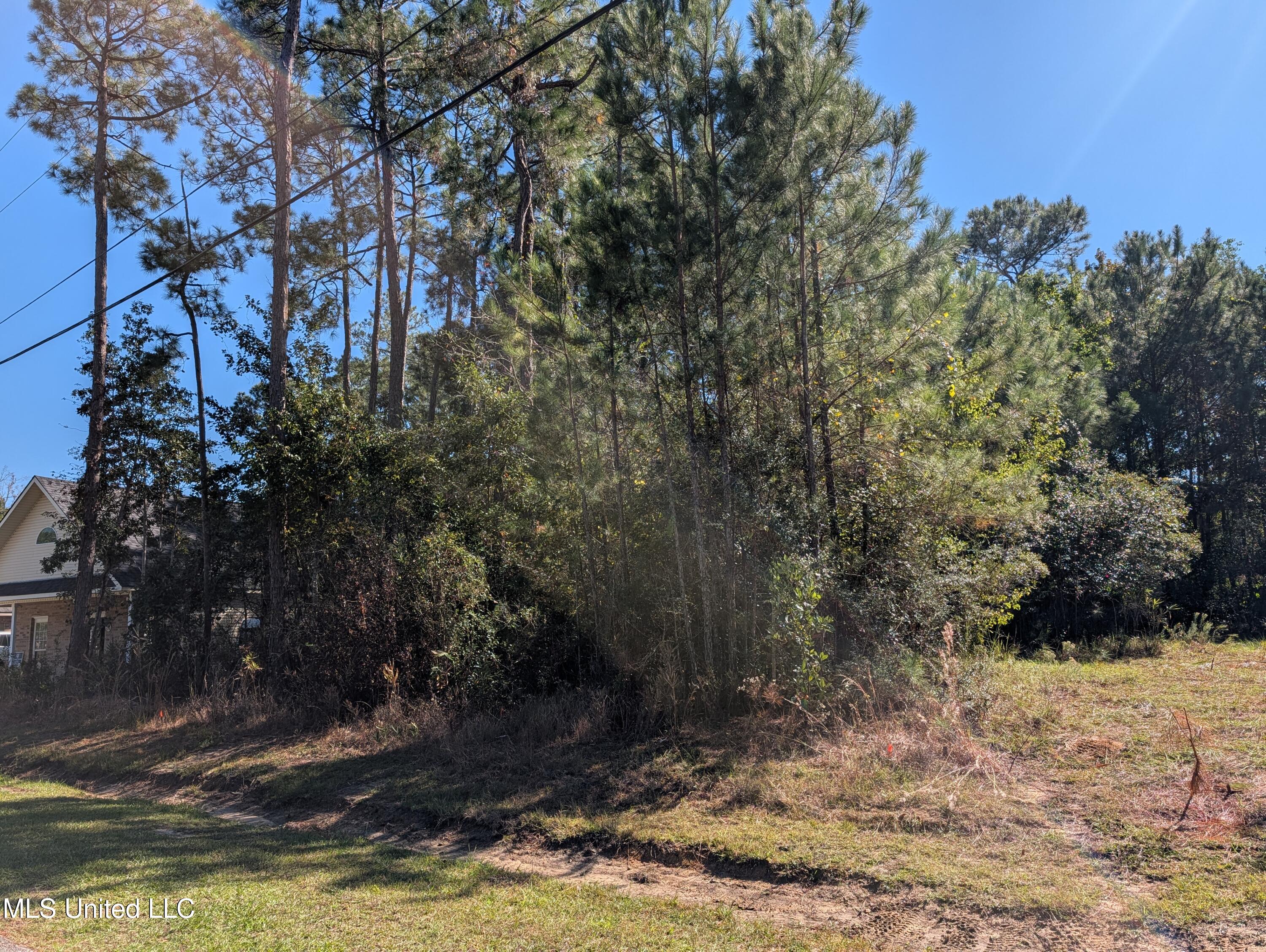 7311 Ieke Circle Diamondhead, MS 39525 - Photo 7 of 12 PXL_20251031_190643440