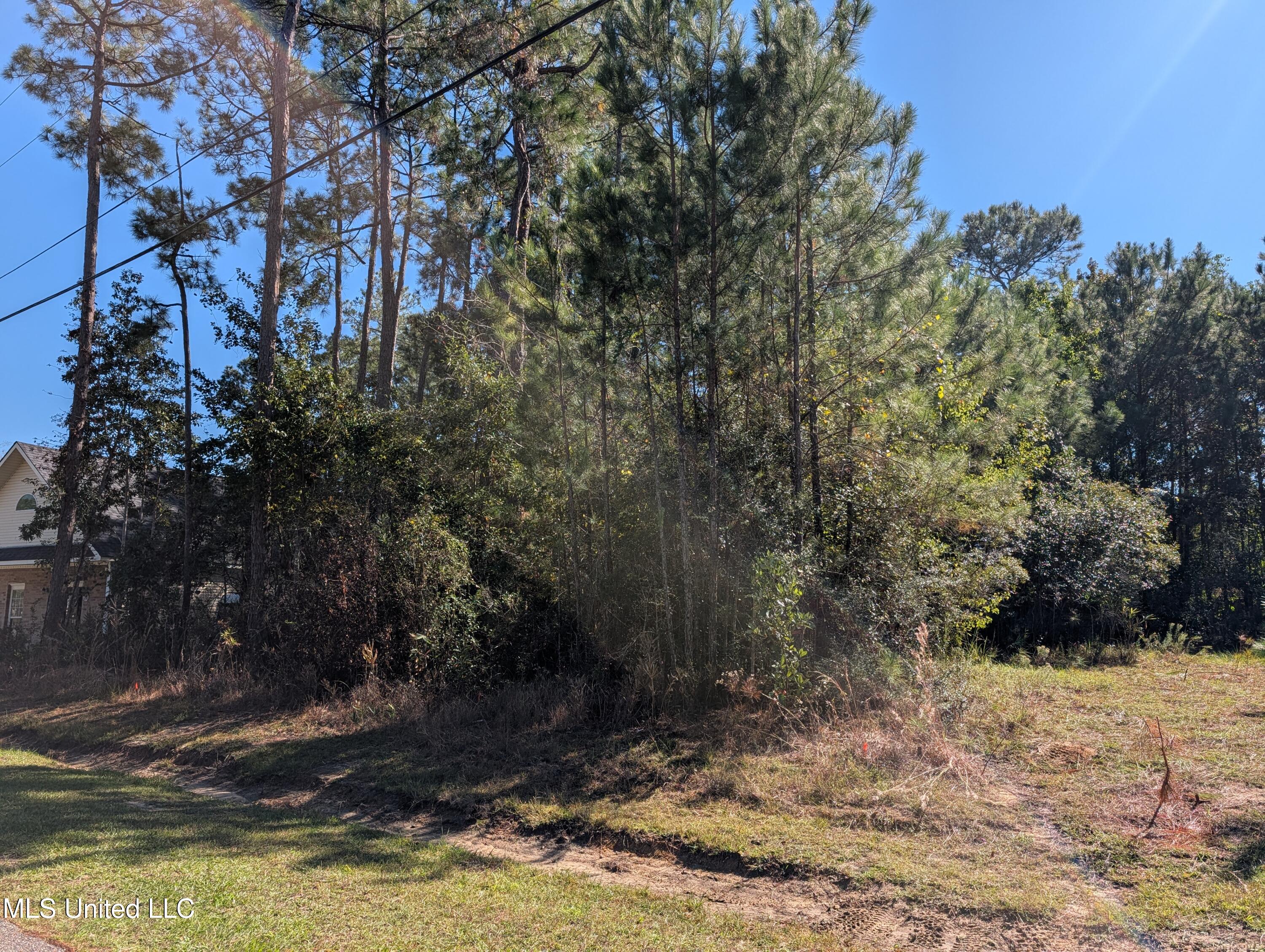 7311 Ieke Circle Diamondhead, MS 39525 - Photo 8 of 12 PXL_20251031_190645471