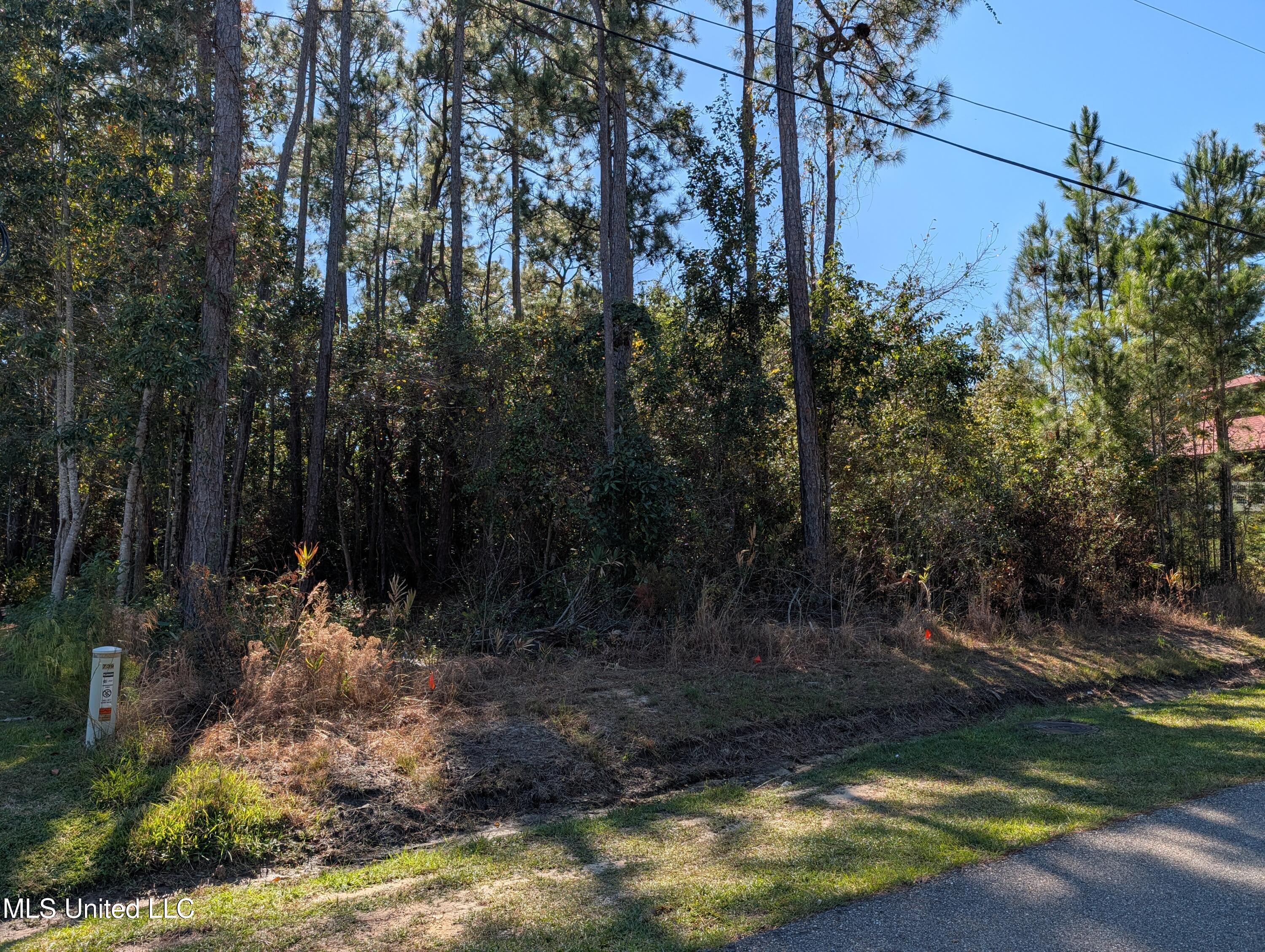 7311 Ieke Circle Diamondhead, MS 39525 - Photo 10 of 12 PXL_20251031_190714595