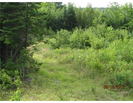 0 Old Bray Hill Road Phillips, ME 04966 - Photo 4 of 12 Land/Lot.