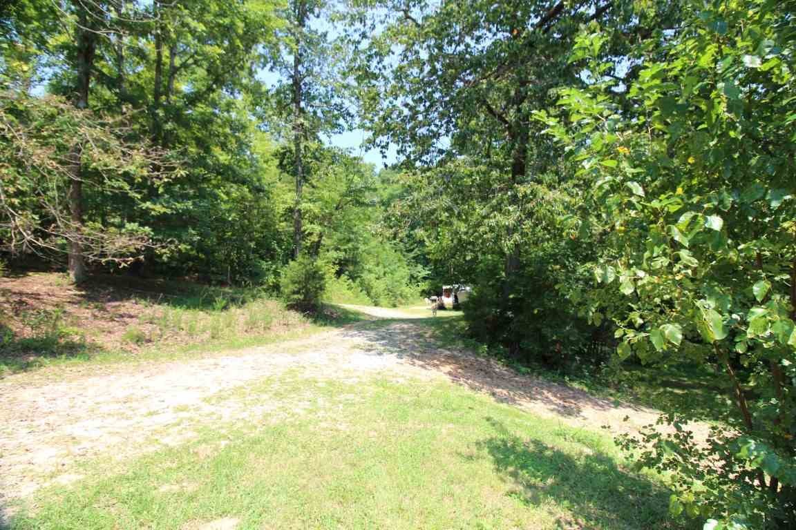 2820 Euchee Chapel Road Spring City, TN 37381 - Photo 32 of 38 Gallery Image 32