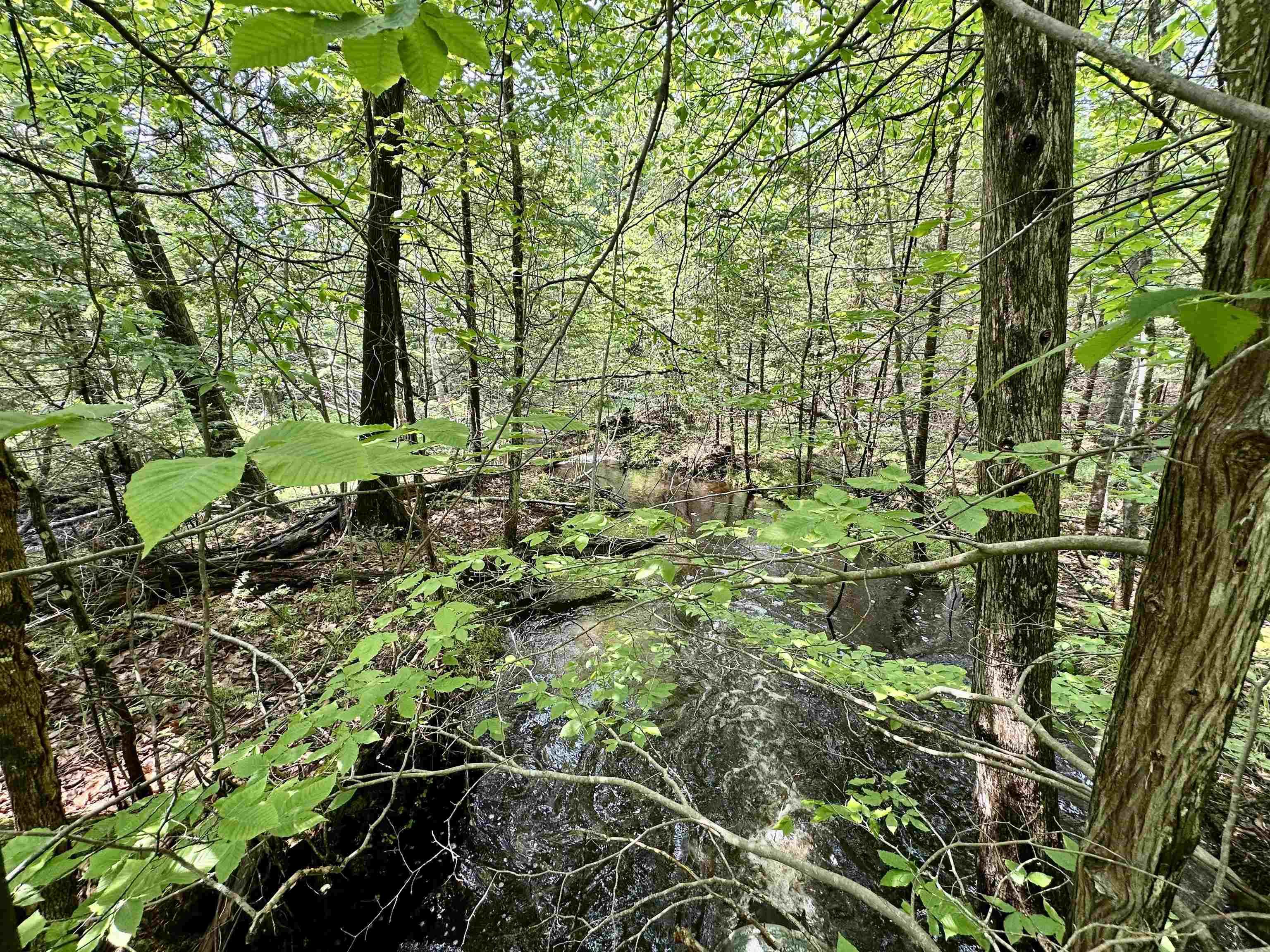 90-acres East Otto Road Suttons Bay, MI 49682 - Photo 30 of 68 Gallery Image 30