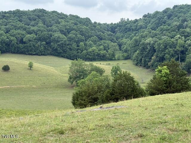 Tbd South Summer Sound Road Piney Flats, TN 37686 - Photo 10 of 22 IMG_8052