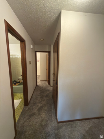 1164 East Mountain Road Logan, UT 84321 - Photo 28 of 45 Hallway with gray carpet flooring and white walls