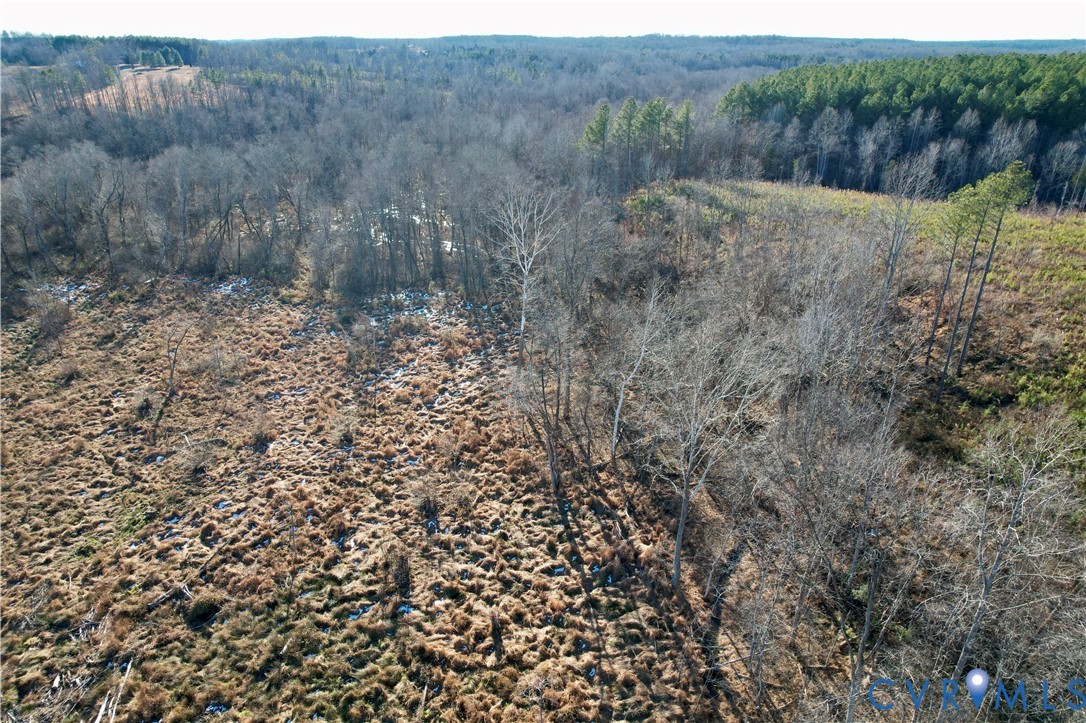 5100 Indian Oak Road Crewe, VA 23930 - Photo 7 of 17