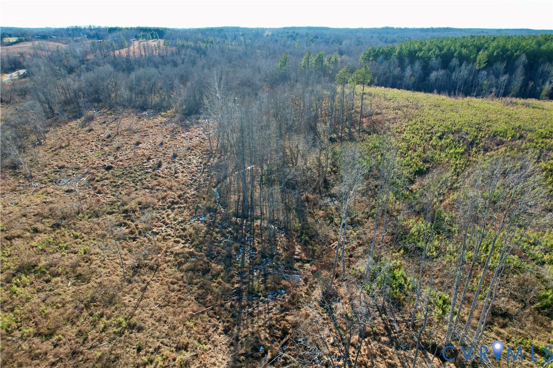 5100 Indian Oak Road Crewe, VA 23930 - Photo 9 of 17