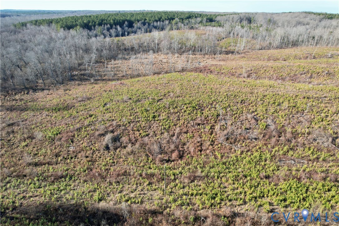 5100 Indian Oak Road Crewe, VA 23930 - Photo 10 of 17