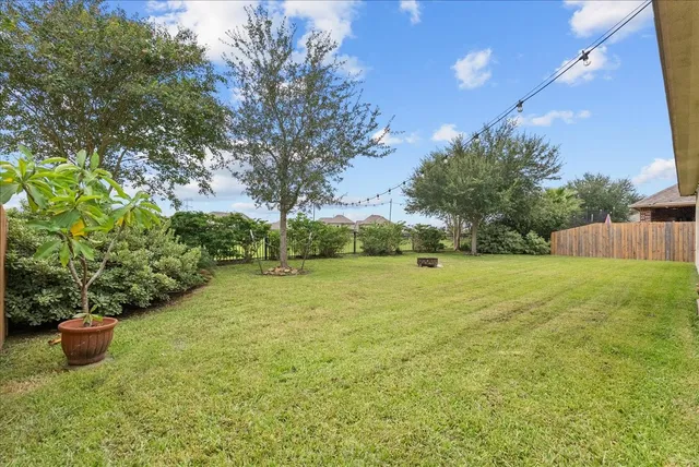 a view of a field with large trees