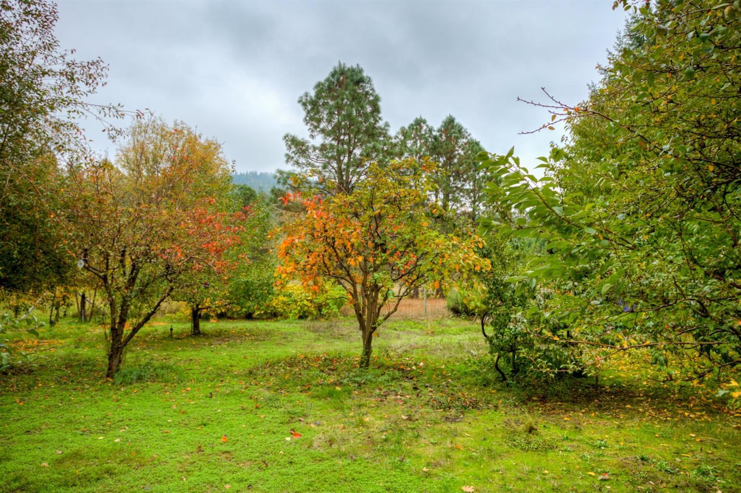 11905 Lower River Road Grants Pass, OR 97526 - Photo 27 of 35 Additional Photo