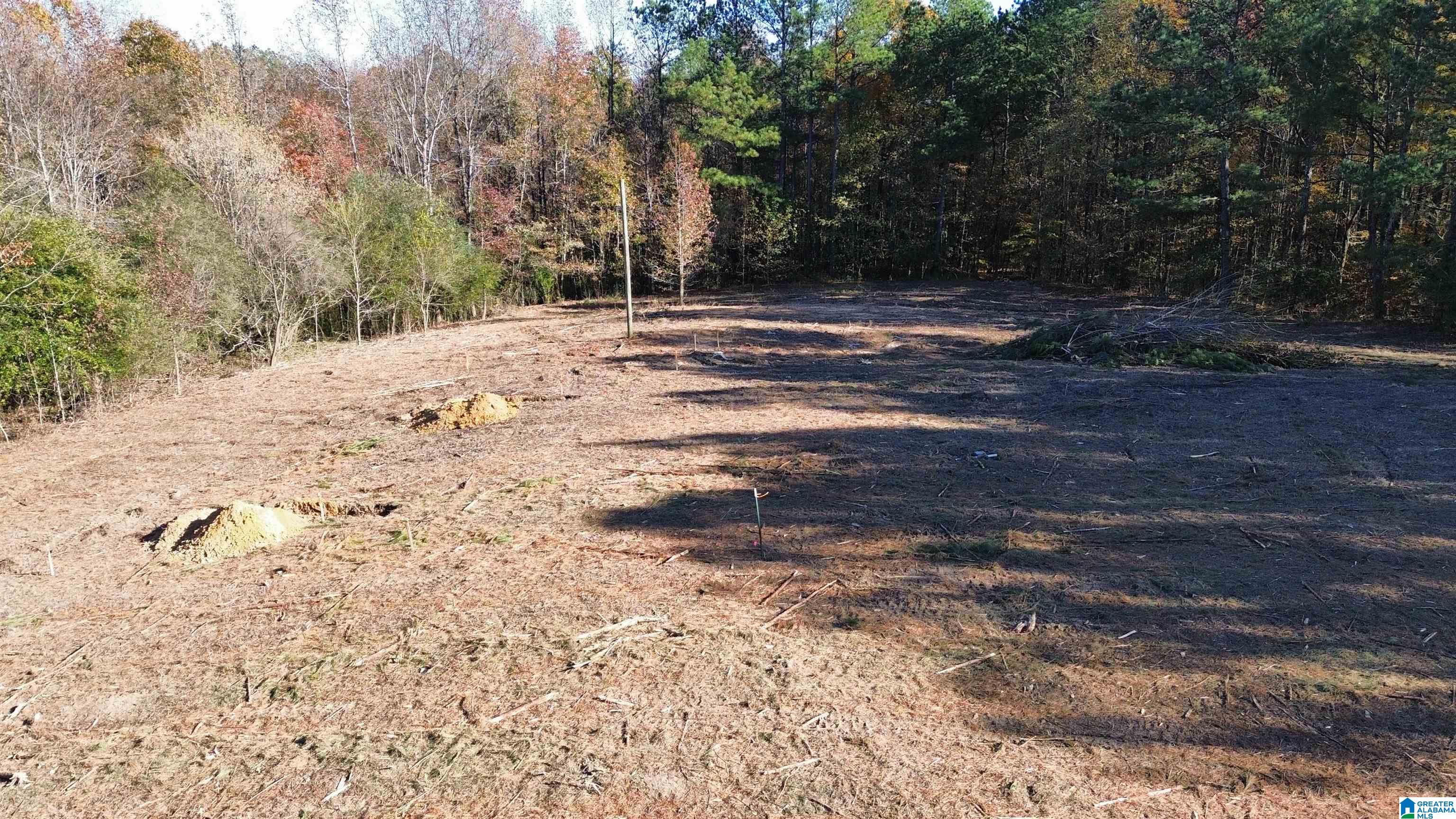 171 Water Tank Road, Unit 1 62 Hayden, AL 35079 - Photo 4 of 5