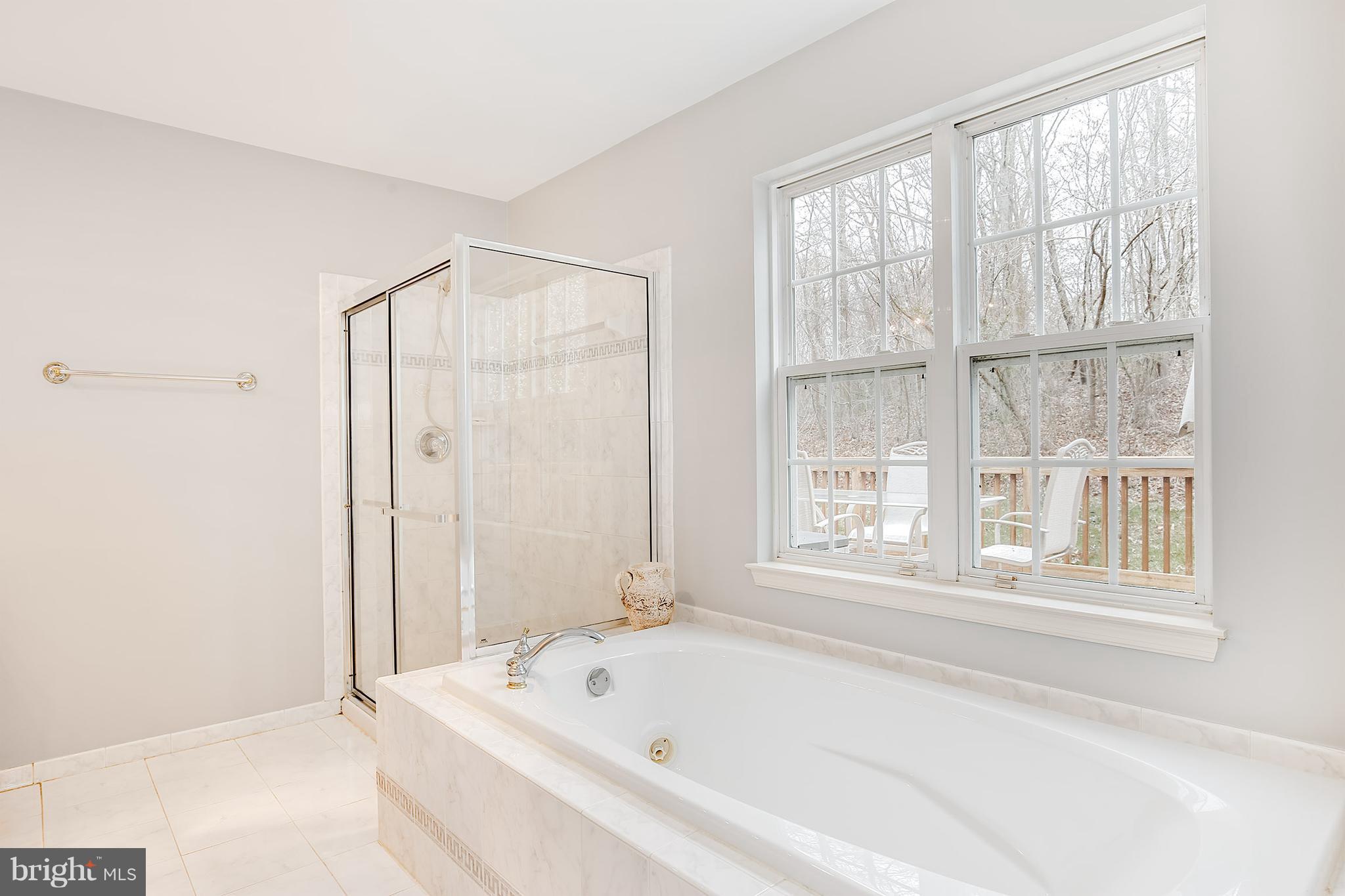 6319 Patuxent Quarter Road Hanover, MD 21076 - Photo 16 of 30 Master Bath with jetted tub and separate shower