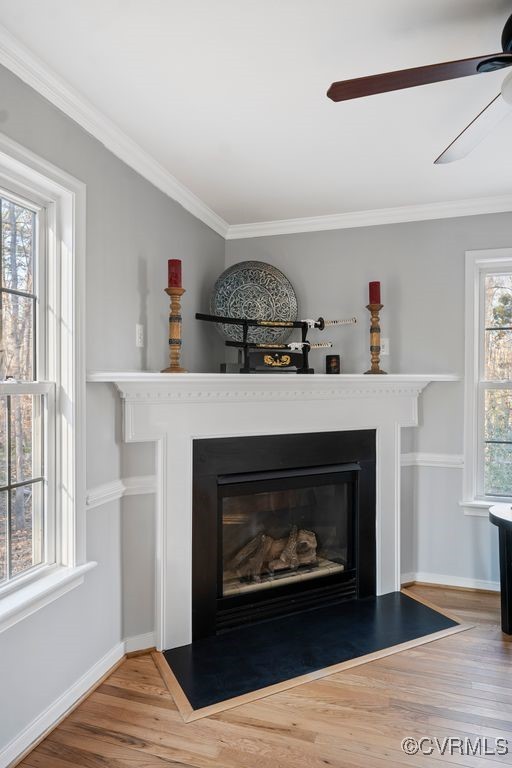 4360 Worsham Road Powhatan, VA 23139 - Photo 13 of 30 Details featuring ornamental molding, a glass cove