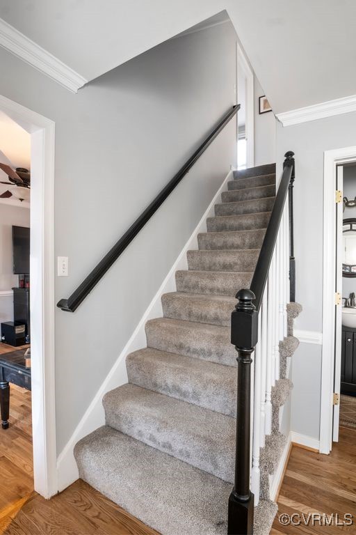4360 Worsham Road Powhatan, VA 23139 - Photo 15 of 30 Staircase to the upstairs