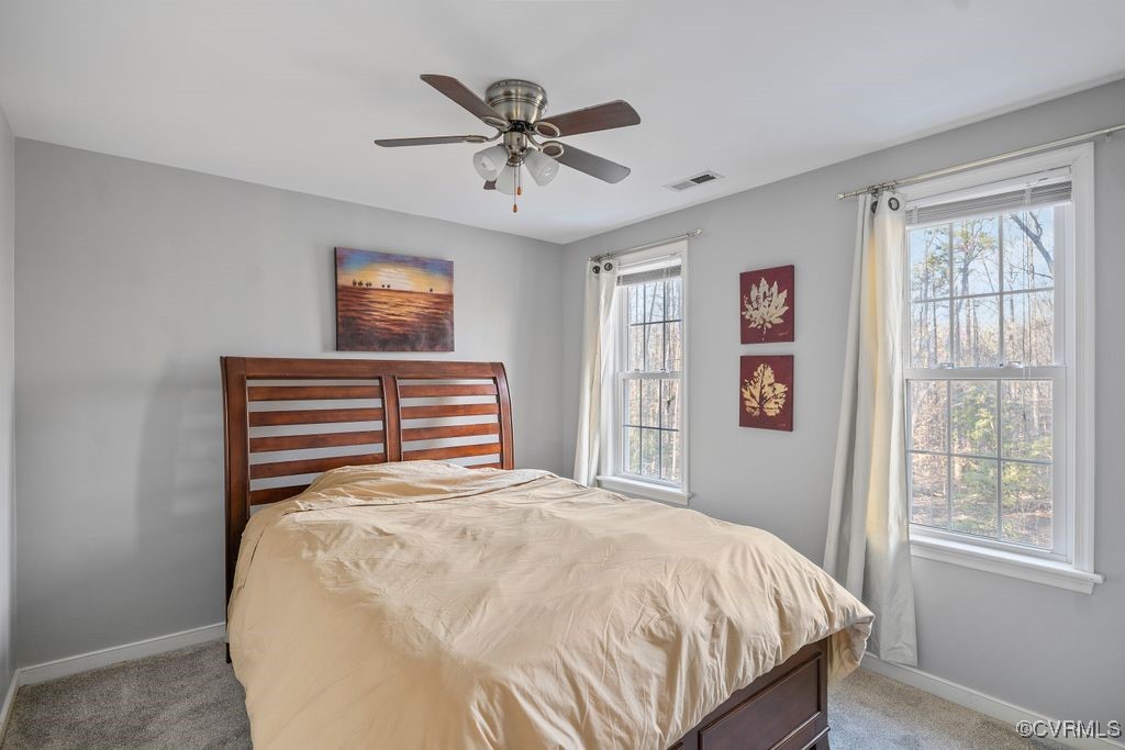 4360 Worsham Road Powhatan, VA 23139 - Photo 16 of 30 Bedroom 1