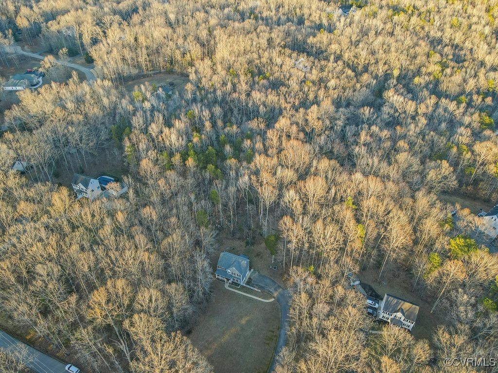 4360 Worsham Road Powhatan, VA 23139 - Photo 3 of 30 Birds eye view of property with a view of trees