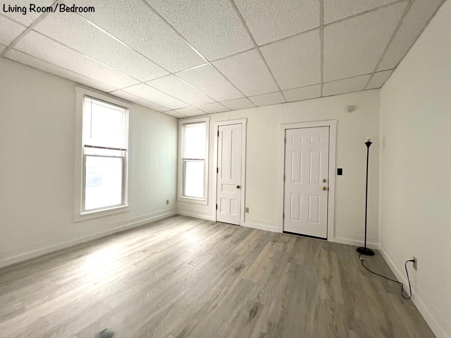 89 Chestnut Street, Unit 2 Oneonta, NY 13820 - Photo 7 of 13 Livingroom/bbedroom